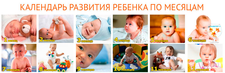 calendário mensal de desenvolvimento do bebê