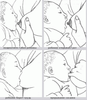 como dar um peito ao bebê