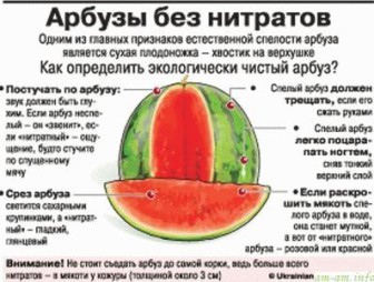 meloun s horkou vodou