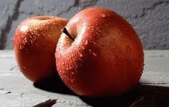 rote Äpfel während des Stillens