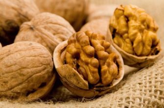 breast-feeding walnuts