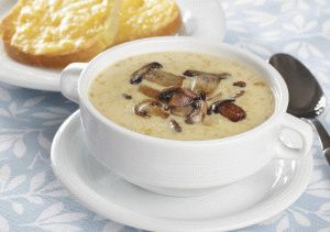 when children can be given mushroom soup