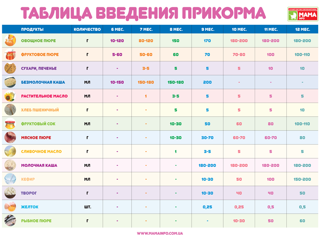 Table of the introduction of complementary foods from 6 months