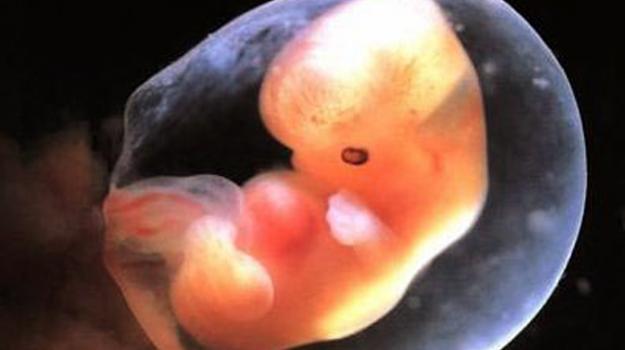 7-nedelya-placenta