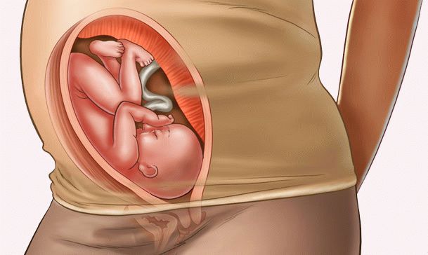 30 weken zwangerschap