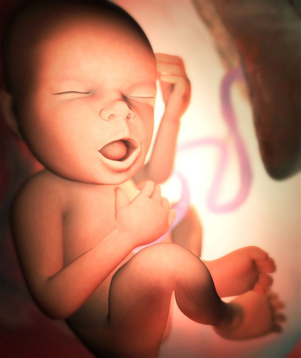 foetus in week 33