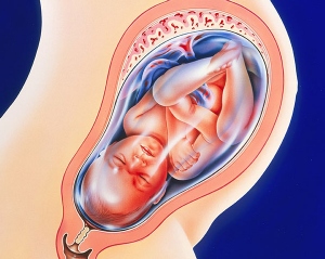 fœtus à 41 semaines
