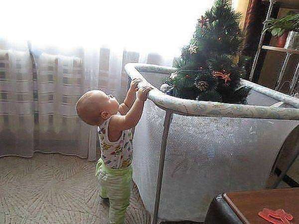 شجرة عيد الميلاد في روضة الاطفال